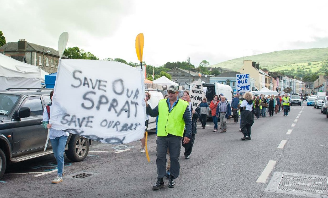Campaign highlights 'indiscriminate harvesting' of sprat fish