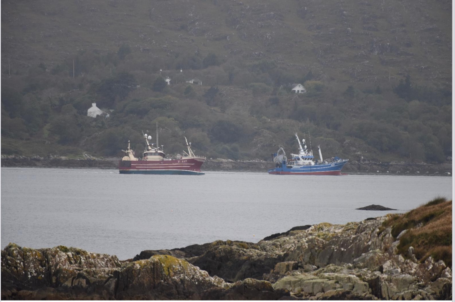 Pair trawling for Sprat